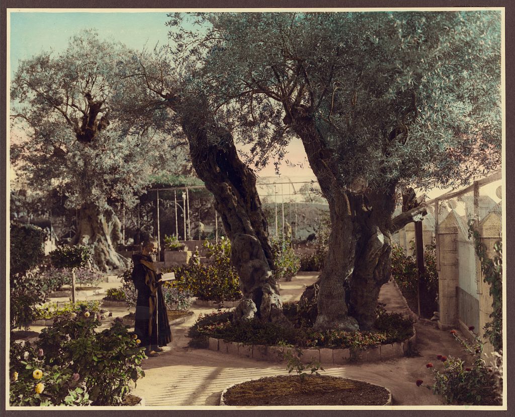 Monk in Gethsemane, Jerusalem